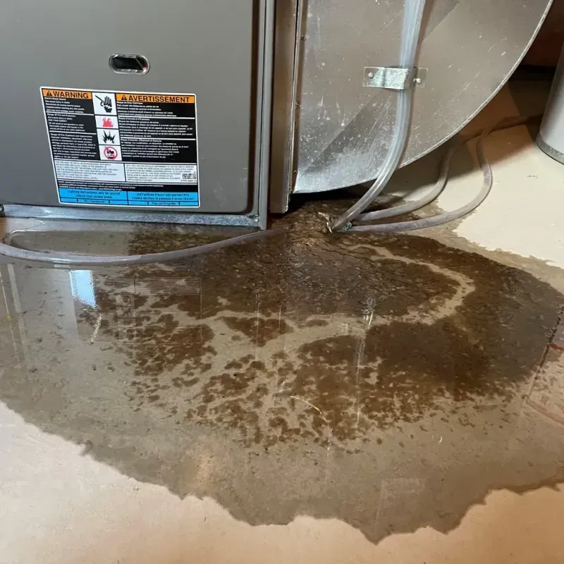 Appliance Leak Cleanup in Ronkonkoma, NY